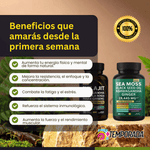 MuscleMax™ - Activa tu máximo potencial con energía natural y fuerza sin límites 💥